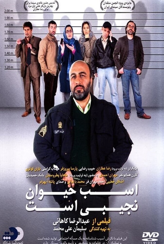 دانلود فیلم اسب حیوان نجیبی است